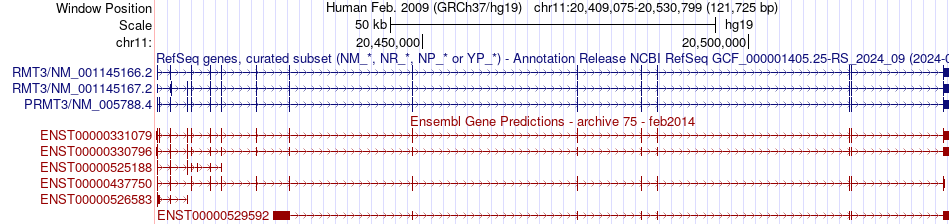 gene isoform structure of PRMT3