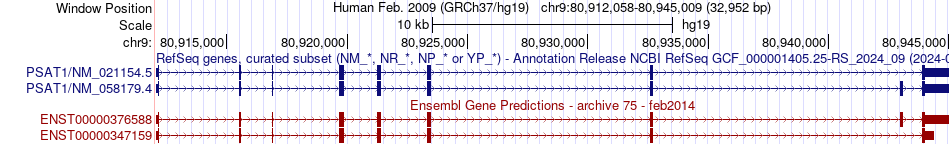 gene isoform structure of PSAT1