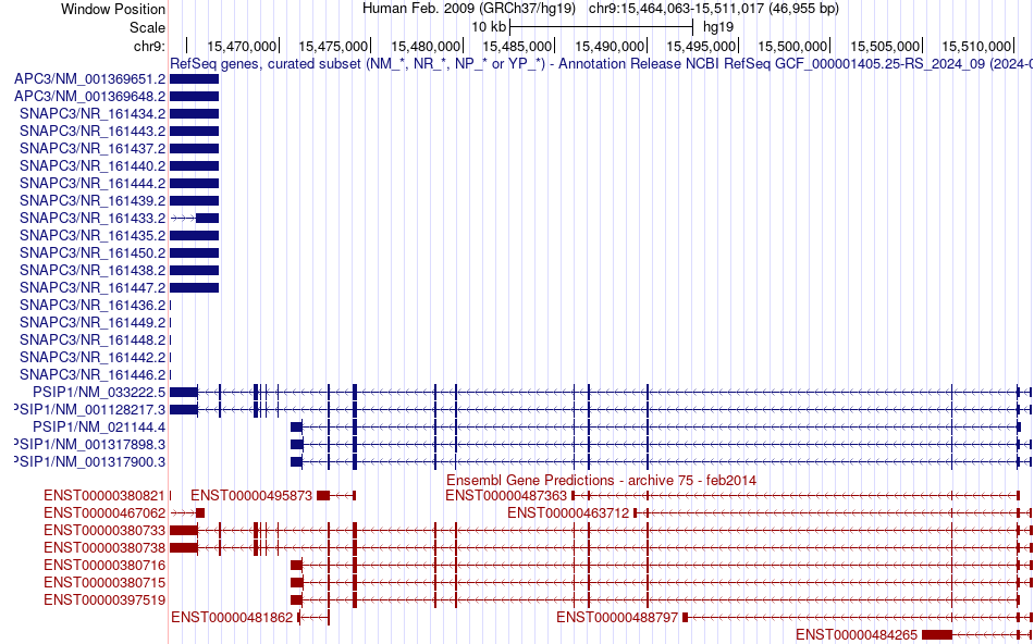 gene isoform structure of PSIP1