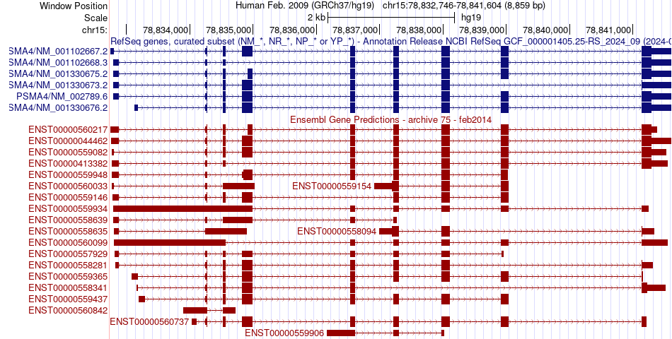 gene isoform structure of PSMA4
