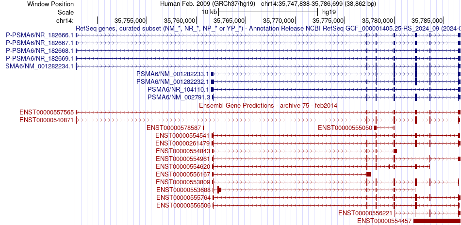 gene isoform structure of PSMA6