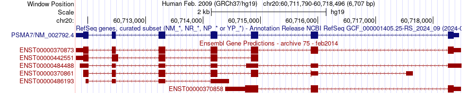 gene isoform structure of PSMA7