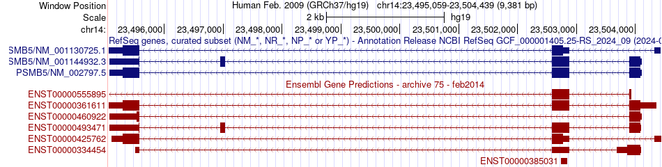 gene isoform structure of PSMB5
