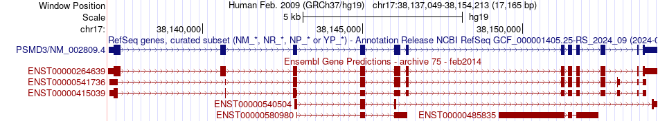 gene isoform structure of PSMD3