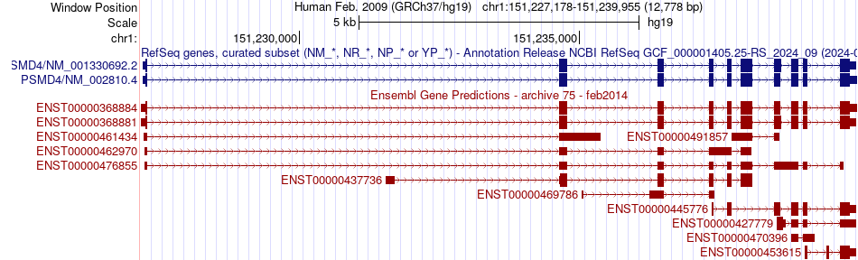 gene isoform structure of PSMD4
