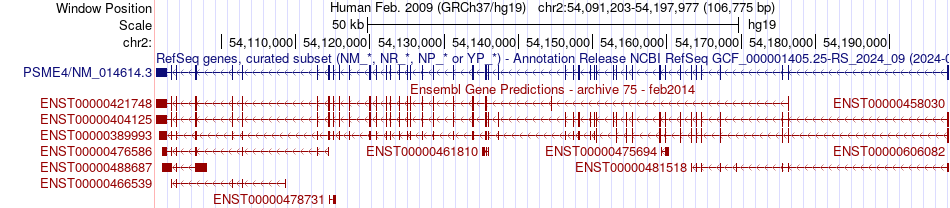 gene isoform structure of PSME4