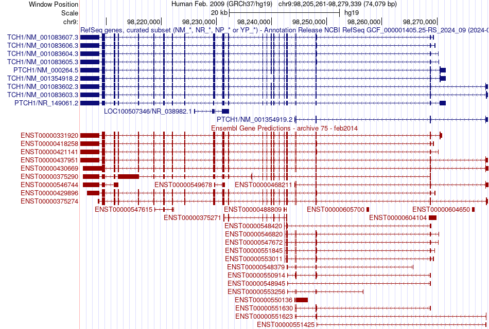 gene isoform structure of PTCH1