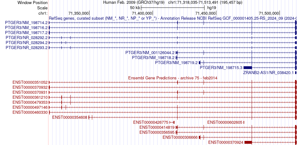 gene isoform structure of PTGER3