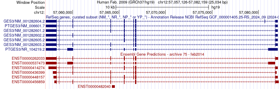gene isoform structure of PTGES3