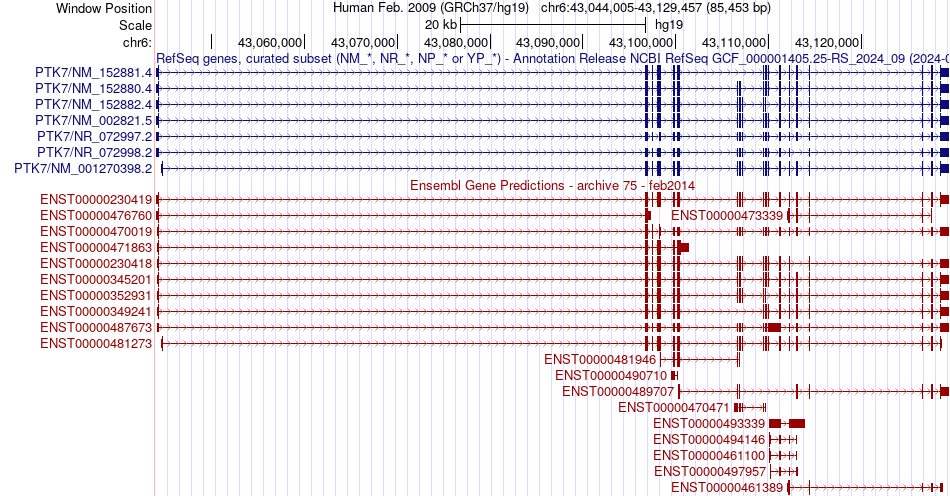 gene isoform structure of PTK7