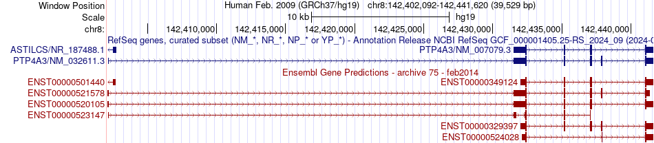gene isoform structure of PTP4A3
