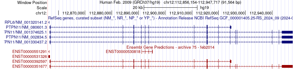 gene isoform structure of PTPN11