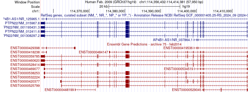 gene isoform structure of PTPN22
