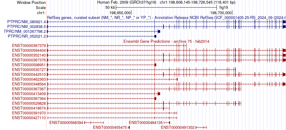 gene isoform structure of PTPRC