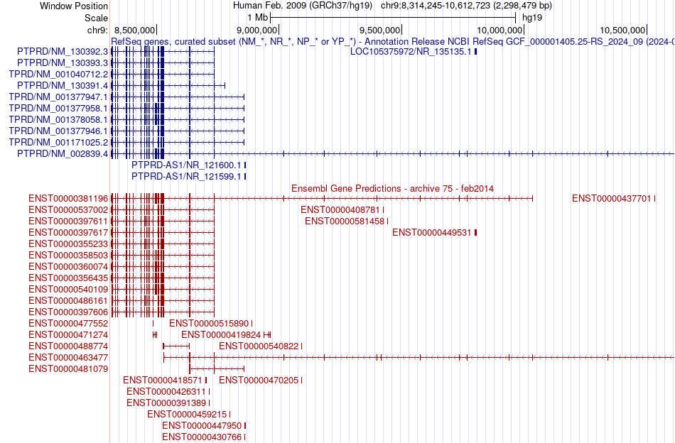 gene isoform structure of PTPRD