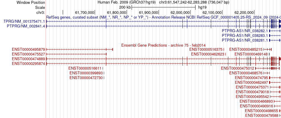 gene isoform structure of PTPRG