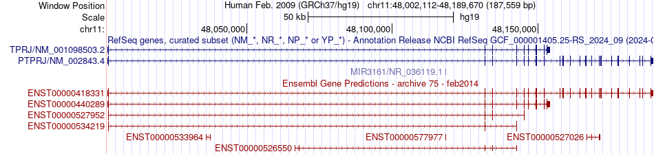 gene isoform structure of PTPRJ