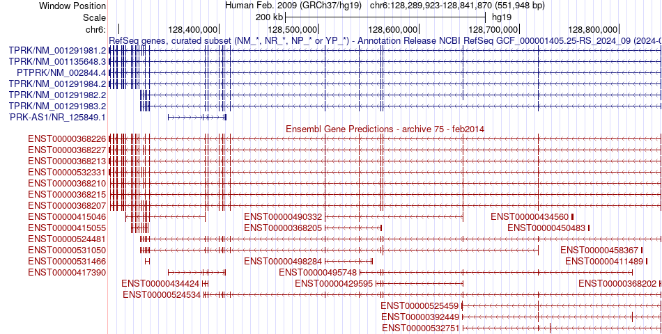 gene isoform structure of PTPRK