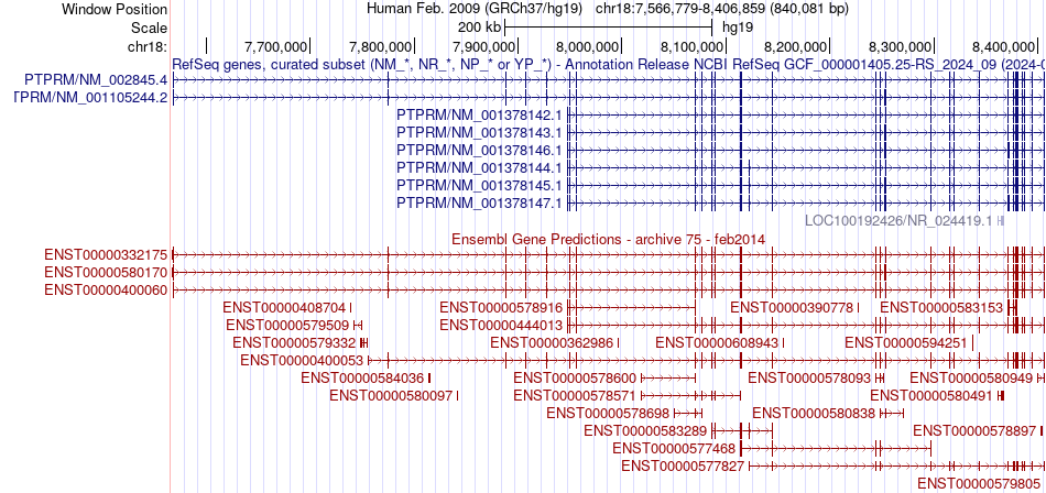 gene isoform structure of PTPRM