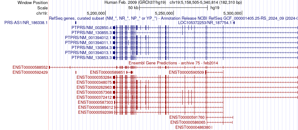 gene isoform structure of PTPRS