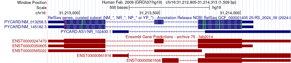 gene isoform structure of PYCARD