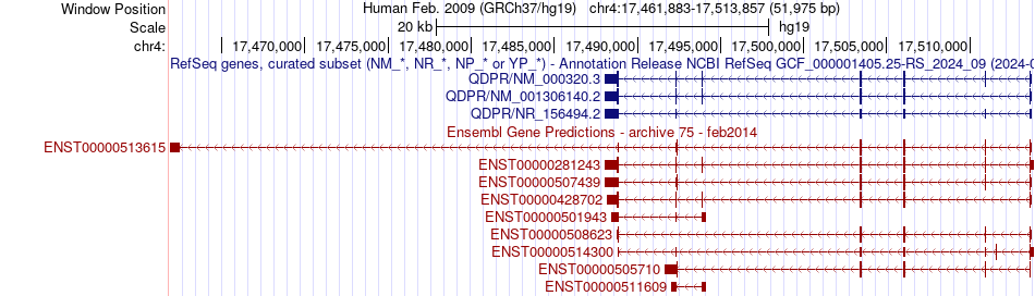 gene isoform structure of QDPR