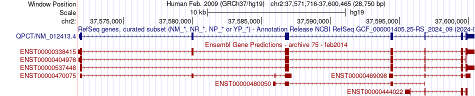 gene isoform structure of QPCT