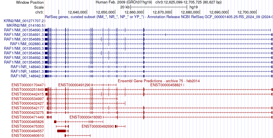 gene isoform structure of RAF1