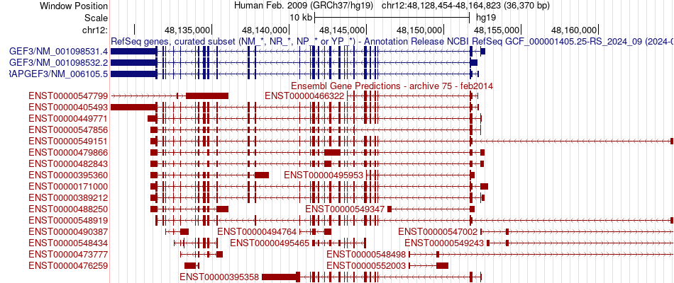 gene isoform structure of RAPGEF3