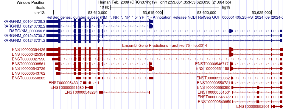gene isoform structure of RARG