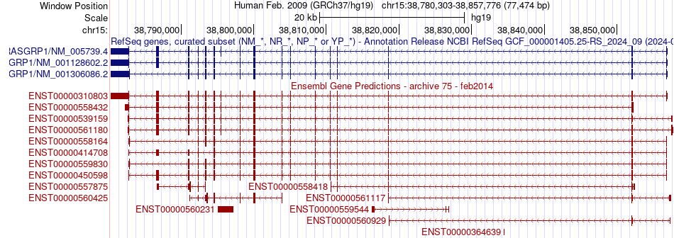 gene isoform structure of RASGRP1