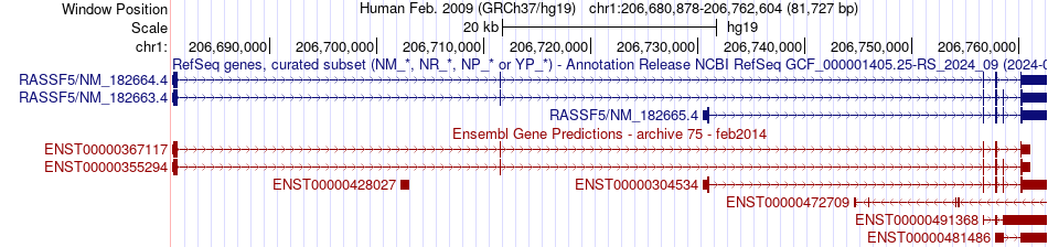 gene isoform structure of RASSF5