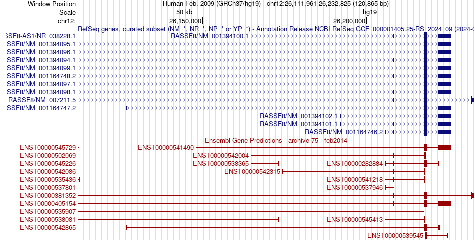 gene isoform structure of RASSF8