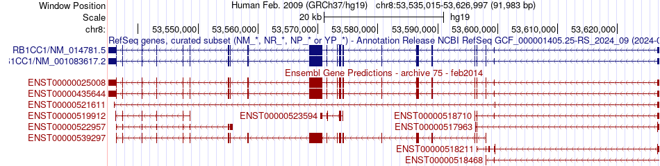 gene isoform structure of RB1CC1