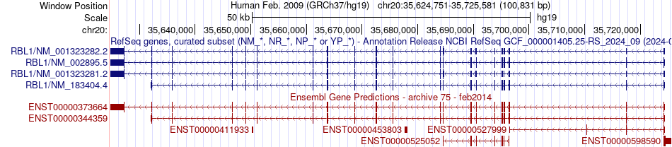 gene isoform structure of RBL1