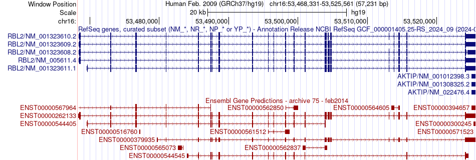 gene isoform structure of RBL2