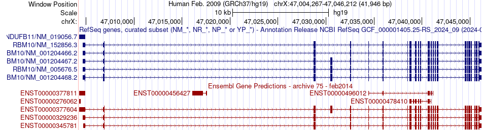 gene isoform structure of RBM10