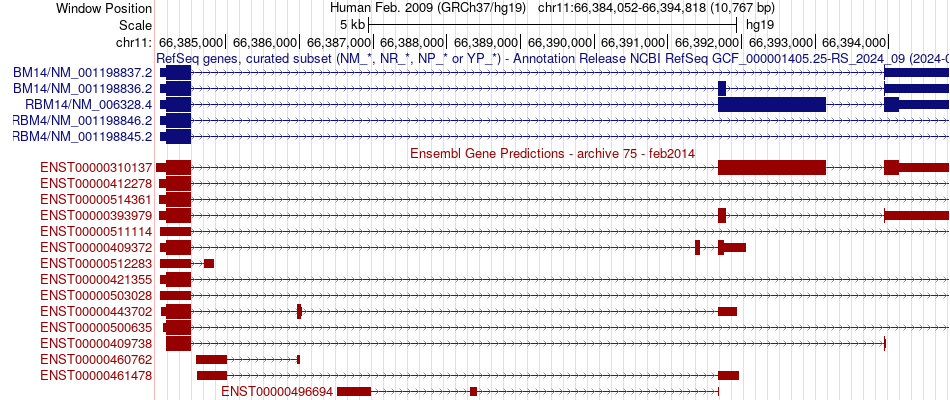 gene isoform structure of RBM14