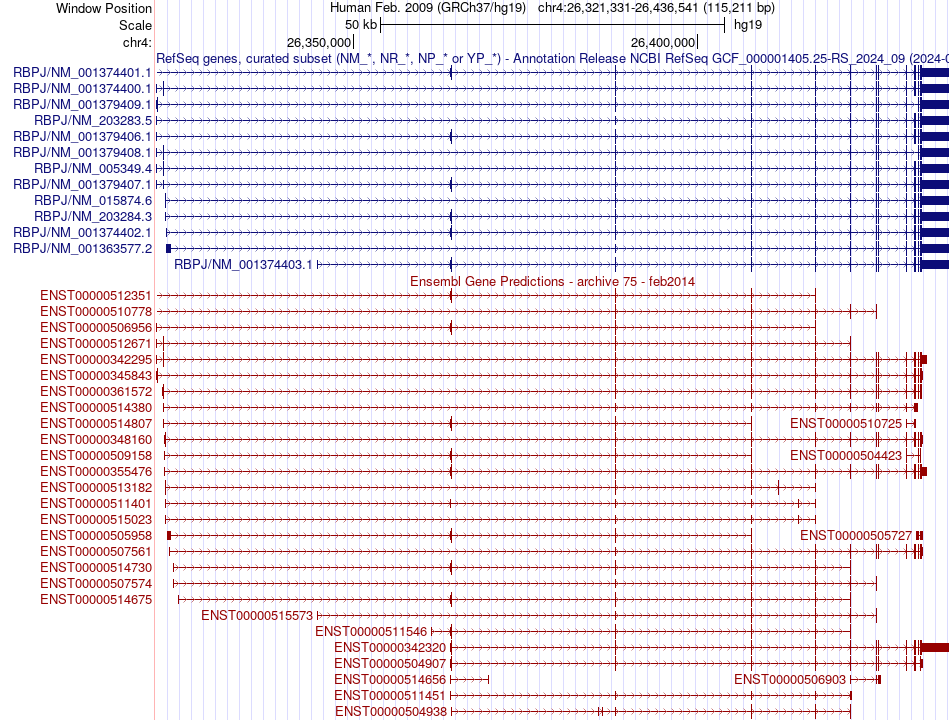 gene isoform structure of RBPJ