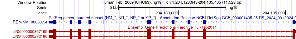 gene isoform structure of REN