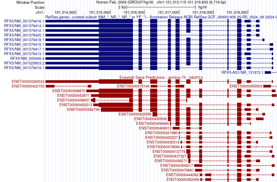 gene isoform structure of RFX5