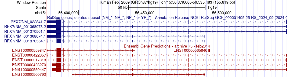 gene isoform structure of RFX7