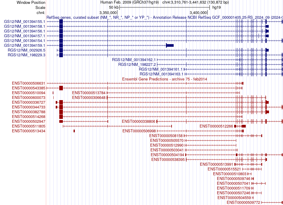 gene isoform structure of RGS12
