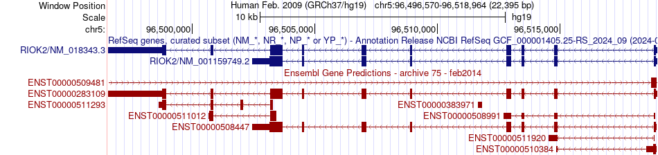 gene isoform structure of RIOK2