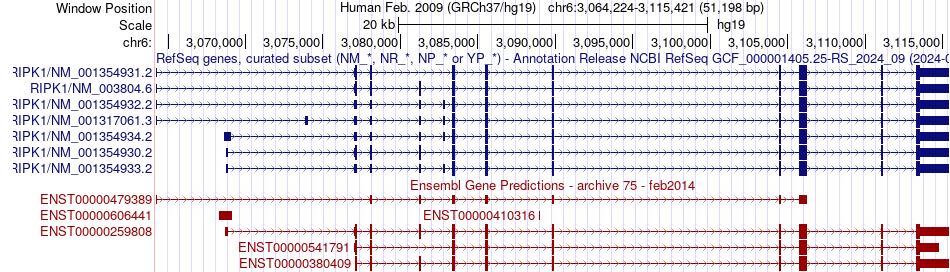 gene isoform structure of RIPK1