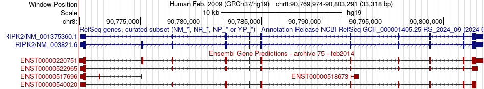 gene isoform structure of RIPK2