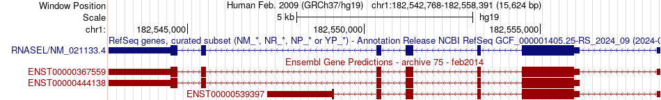 gene isoform structure of RNASEL