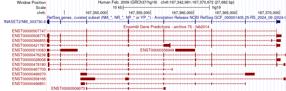 gene isoform structure of RNASET2