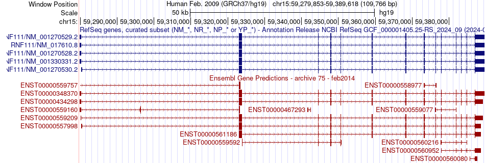 gene isoform structure of RNF111