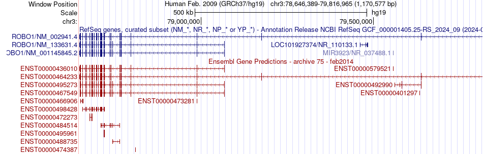 gene isoform structure of ROBO1